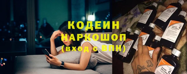 прущие грибы Богданович