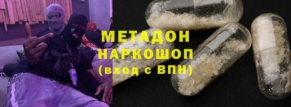 прущие грибы Богданович