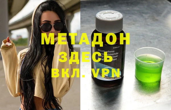 прущие грибы Богданович