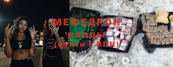 прущие грибы Богданович