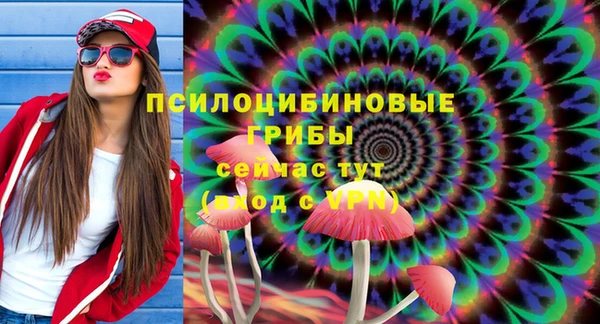 прущие грибы Богданович