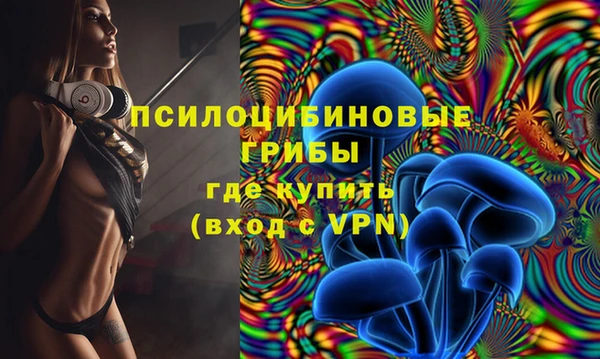 COCAINE Богородицк